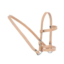 helga-kantar-dla-konia-do-zabawy-pauline