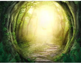 fototapeta-las-dekoracja-scienna-352x250cm