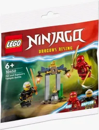 klocki-lego-ninjago-30650-bitwa-kaia-i-raptona-w-swiatyni