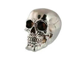 skarbonka-czaszka-trupia-czacha-xl-duza-blyszczaca