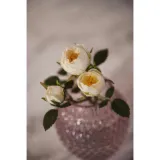 leonardo-wazon-szklany-11cm-fiolet-poesia-wysokosc-produktu-11-cm