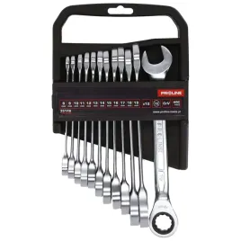 zestaw-kluczy-oczkowo-plaskich-z-grzechotka-12-sztuk-8-19mm-proline-35146