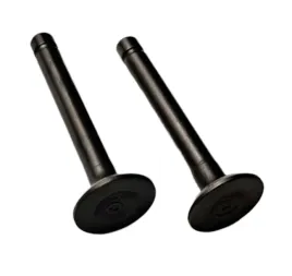 zawory-komplet-zaworow-zestaw-zawor-50-cm3-kayo-kmb-50-old-rxf-mini-pitbike