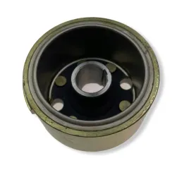 magneto-lekkie-zs155-k170-mrf-160-sm-r-170-rc-u-kayo-td125-r-tt160-pit-bike