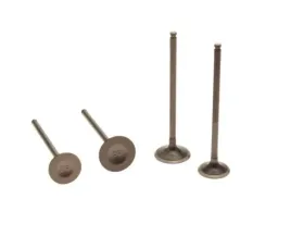 zawory-ssacy-wydechowy-silnik-zongshen-dt190-cross