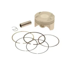 tlok-6200-14-20-silnik-zongshen-dt190