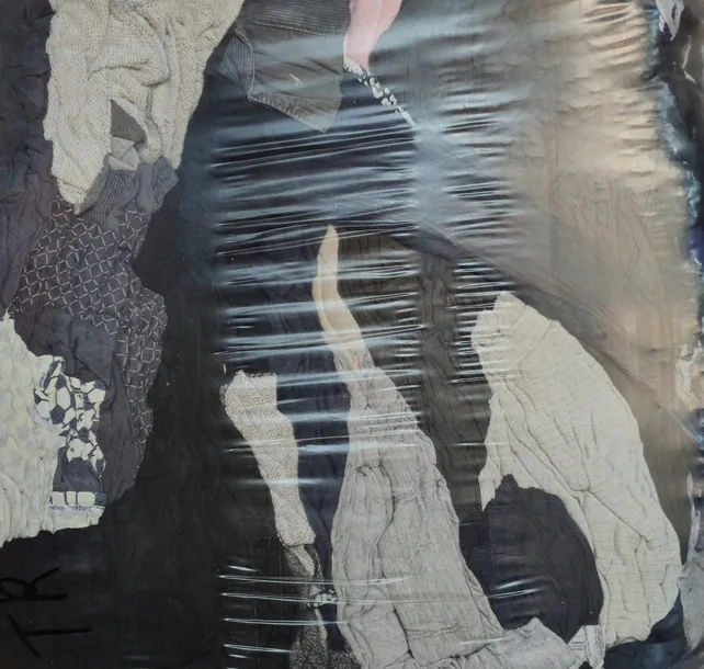 czysciwo-cale-czs1-rodzaj-cale