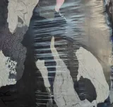 czysciwo-cale-czs1-rodzaj-cale