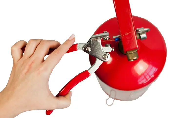 zaciskarka-plomb-ms-dom-170-mm-dlugosc-170-mm