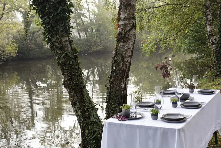 taca-revol-no-w-linia-no-w