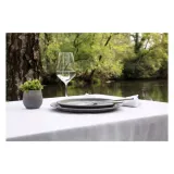 taca-revol-no-w-marka-revol