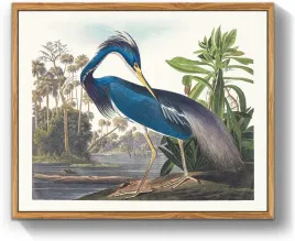 obraz-na-plotnie-na-sciane-w-ramce-vintage-niebieska-czapla-40x60-cm