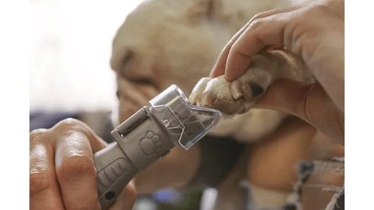 oslona-dremel-2615pg02ja