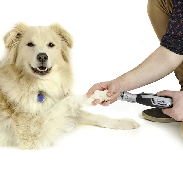 oslona-dremel-2615pg02ja-rodzaj-oslona-waga-z-opakowaniem-0-07-kg