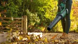 akumulatorowa-dmuchawa-do-lisci-advancedleafblower-36v-750-bosch-1x20ah-kod-producenta-06008c6000
