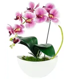 storczyk-panzielony-50-cm-kod-producenta-5903137509093