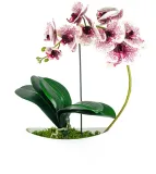 storczyk-panzielony-50-cm-liczba-sztuk-w-zestawie-1-szt