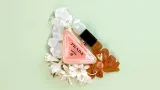 prada-paradoxe-90ml-woda-perfumowana-kobieta-edp-marka-prada-kod-producenta-3614273760164