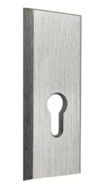 szyld-gorny-do-klamki-shark-na-wklad-srebrny