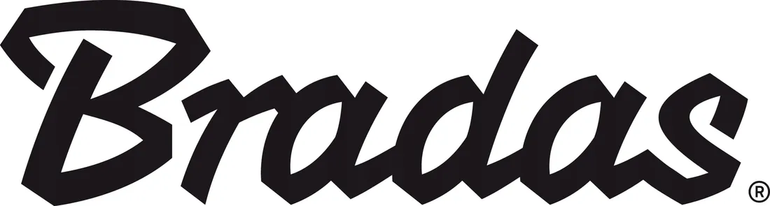 filtr-bradas-dyskowy-1-l