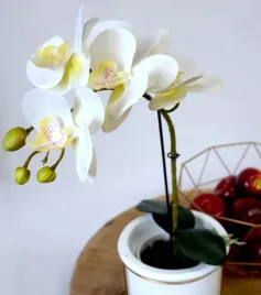 storczyk-sztuczny-w-doniczce-bialy