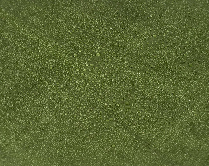 plandeka-wodoszczelna-mocne-krawedzie-plachta-gruba-wzmacniana-4x6-zielona-szerokosc-4-m-kod-producenta-pl904-6