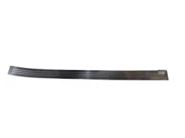 org-listwa-progu-drzwi-pt-mercedes-s-v221-long