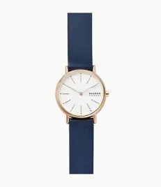 zegarek-damski-skagen-signatur-skw2838-box