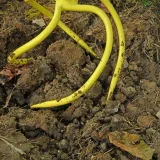 kultywator-gardlov-metal-99-cm-dlugosc-narzedzia-99-cm-material-glowicy-metal