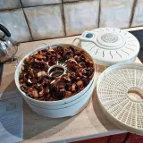 suszarka-do-grzybow-mpm-msg-01-moc-250-w