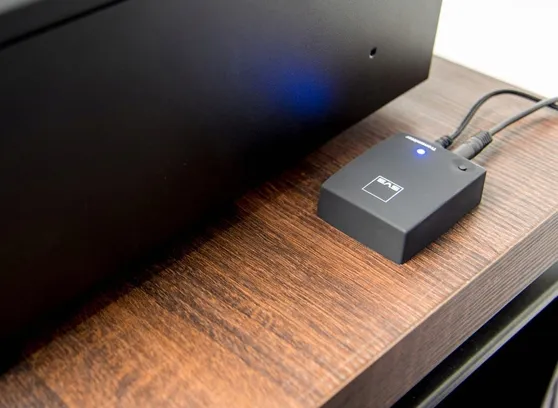 svs-soundpath-wireless-audio-adapter-kod-producenta-svs-soundpath-producent-svs-waga-z-opakowaniem-1-kg