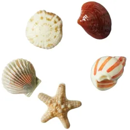 przypinki-do-butow-crocs-she-sells-seashells-10014671