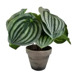 sztuczna-roslina-w-doniczce