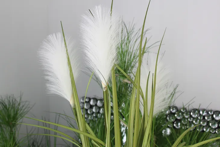 roslina-dekoracyjna-kod-producenta-5902663269495