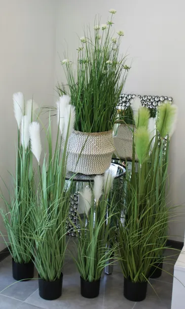 roslina-dekoracyjna-marka-art-pol