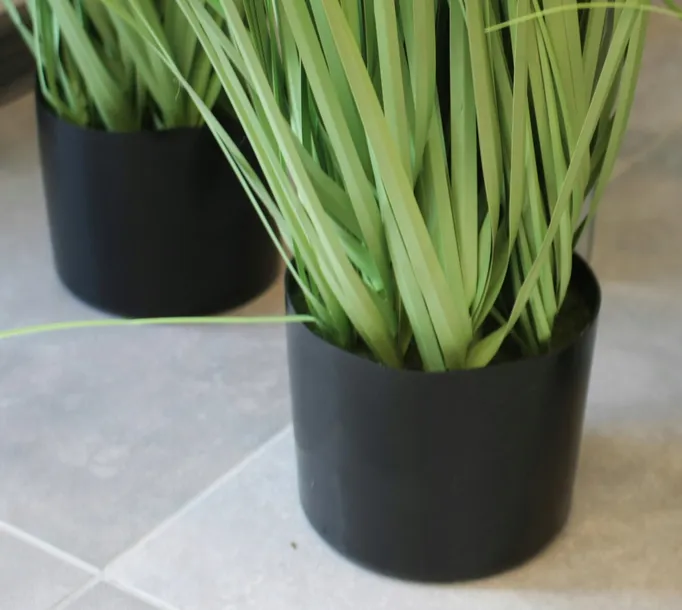 roslina-dekoracyjna-waga-z-opakowaniem-0-8-kg-kod-producenta-5902663269495