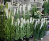 roslina-dekoracyjna-waga-z-opakowaniem-0-8-kg-marka-art-pol