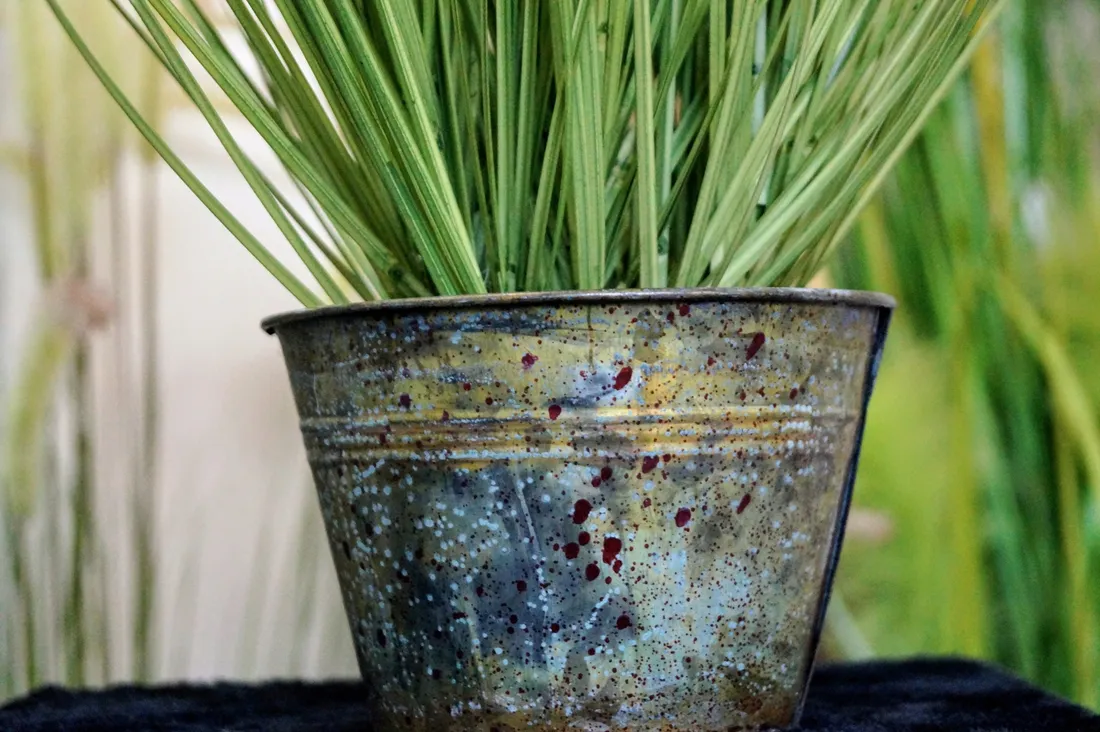 trawa-w-doniczce-50cm