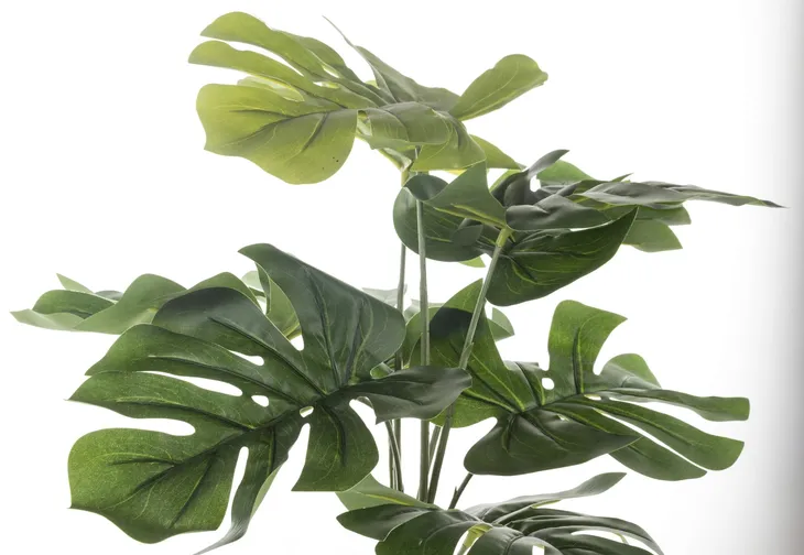 roslina-dekoracyjna-waga-z-opakowaniem-1-kg