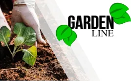 tunel-foliowy-300-x-200-cm-6-m-zielony