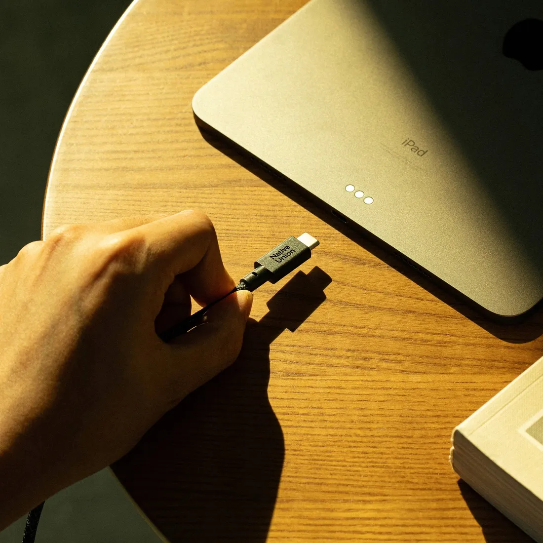 kabel-native-union-usb-typ-c-usb-typ-c-3-m