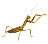 zlota-figurka-modliszka