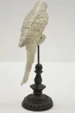 figurka-papuga-biala-39cm-wysokosc-produktu-39-cm