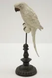 figurka-papuga-biala-39cm-kod-producenta-114078