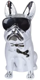 skarbonka-pies-srebrny-w-czarnych-okularach