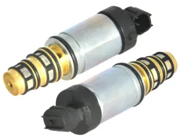 2604005-zawor-sprezarki-klimatyzacji-delphi-cvc