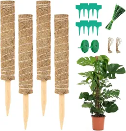 4x-drewniany-pien-kij-uchwyt-do-prawidlego-rozrostu-roslin-kwiatkown-pnaczy
