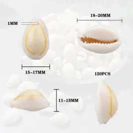 120x-muszle-muszelki-kauri-do-samodzielnego-robienia-bizuterii-diy-prezent