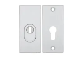 rozeta-szyld-tarczka-axa-royal-wklad-wb-flex-klasa-3-srebrny-f1