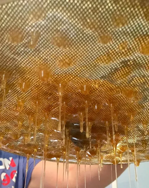 sitko-stal-nierdzewna-rodzaj-sitko